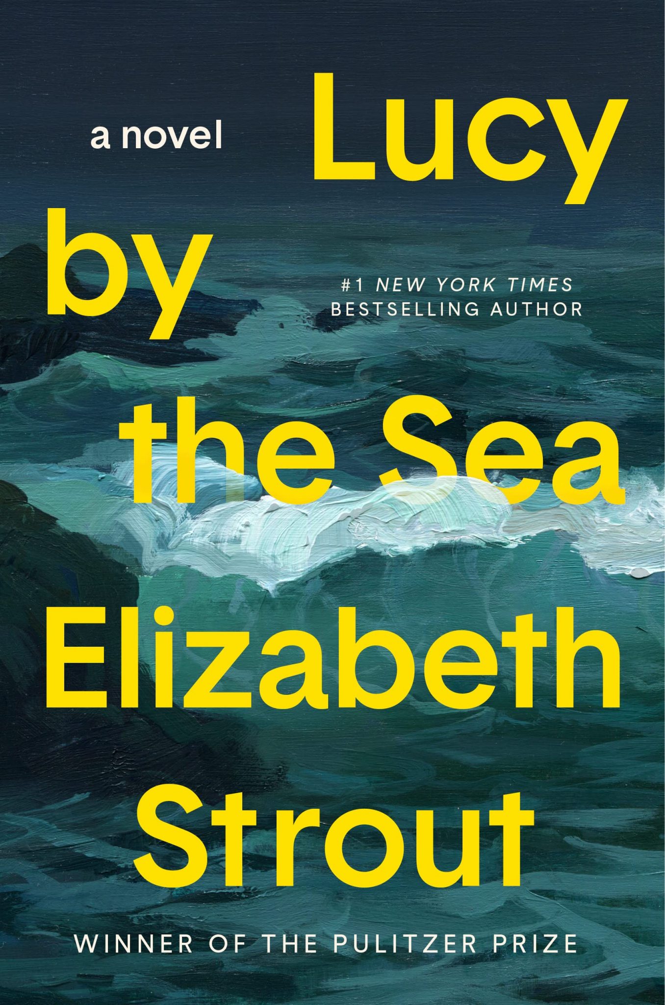 Elizabeth Strout “Lucy by the Sea” Book Discussion Book Signing Central