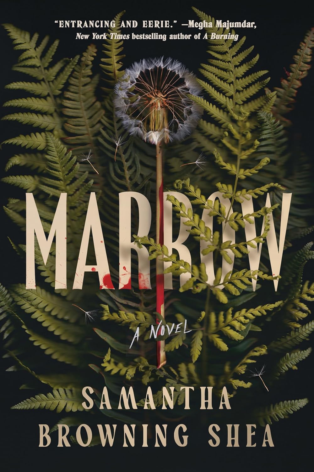 Samantha Browning Shea “Marrow ” Book Discussion – Book Signing Central